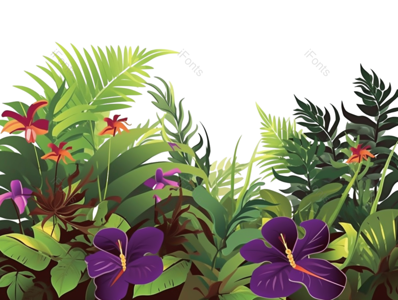 叶子图片,边框元素,红色的花PNG,白色背景免抠素材